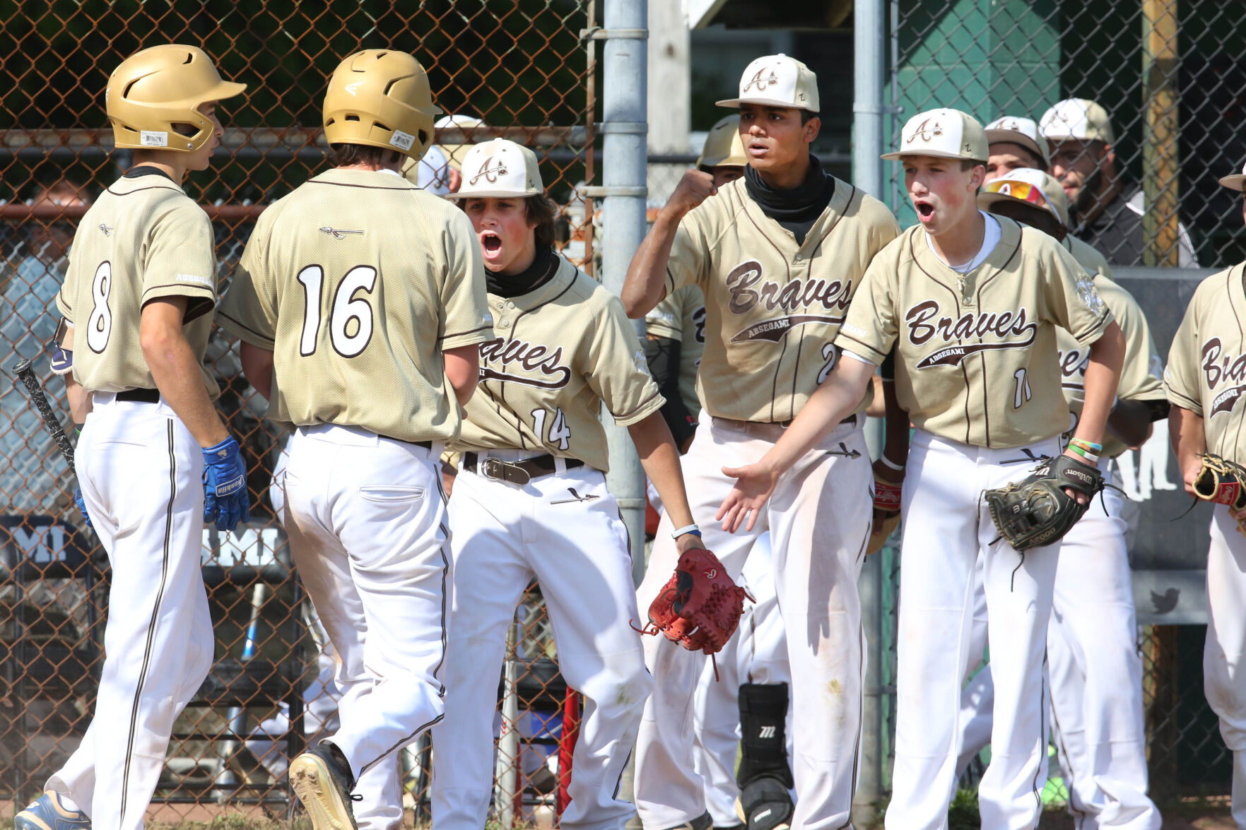 Mainland Absegami baseball